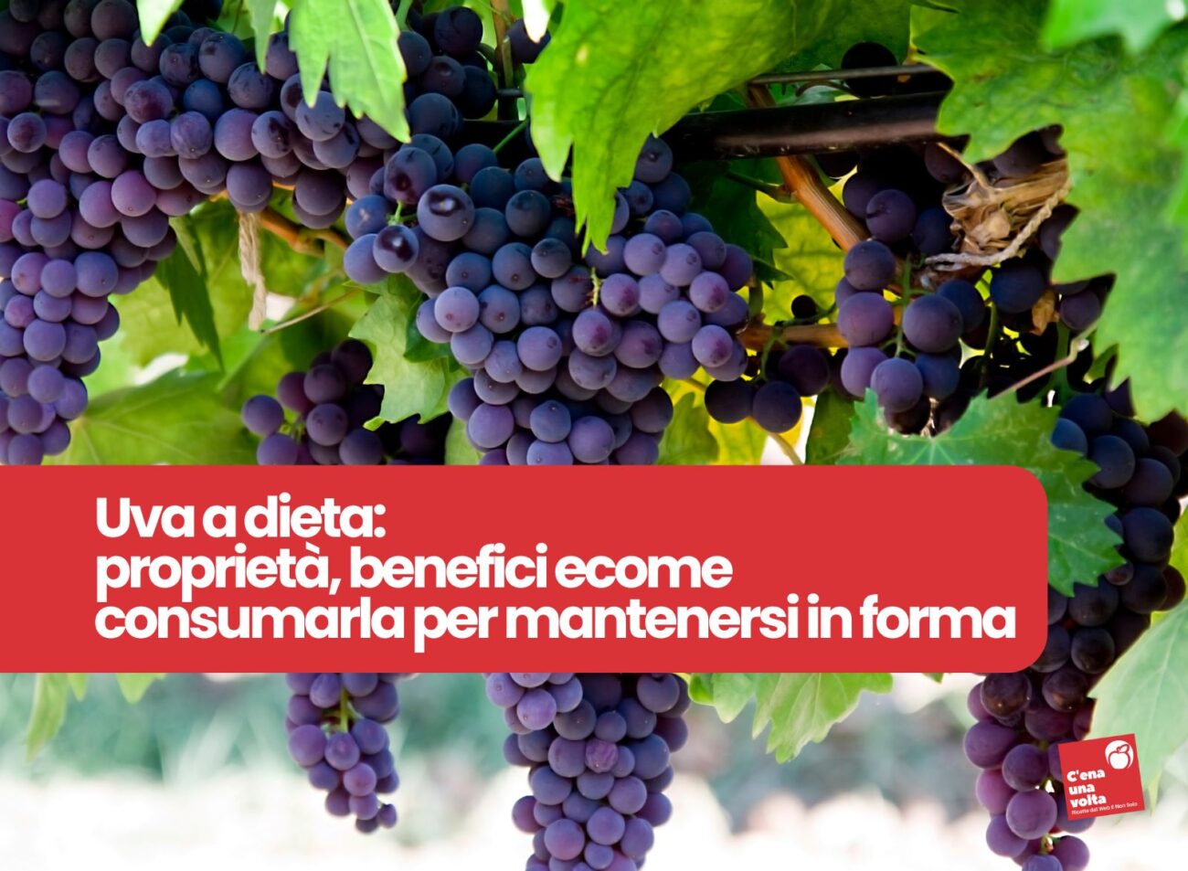 uva a dieta, ricette, idee, abbinamenti e consigli c'ena una volta