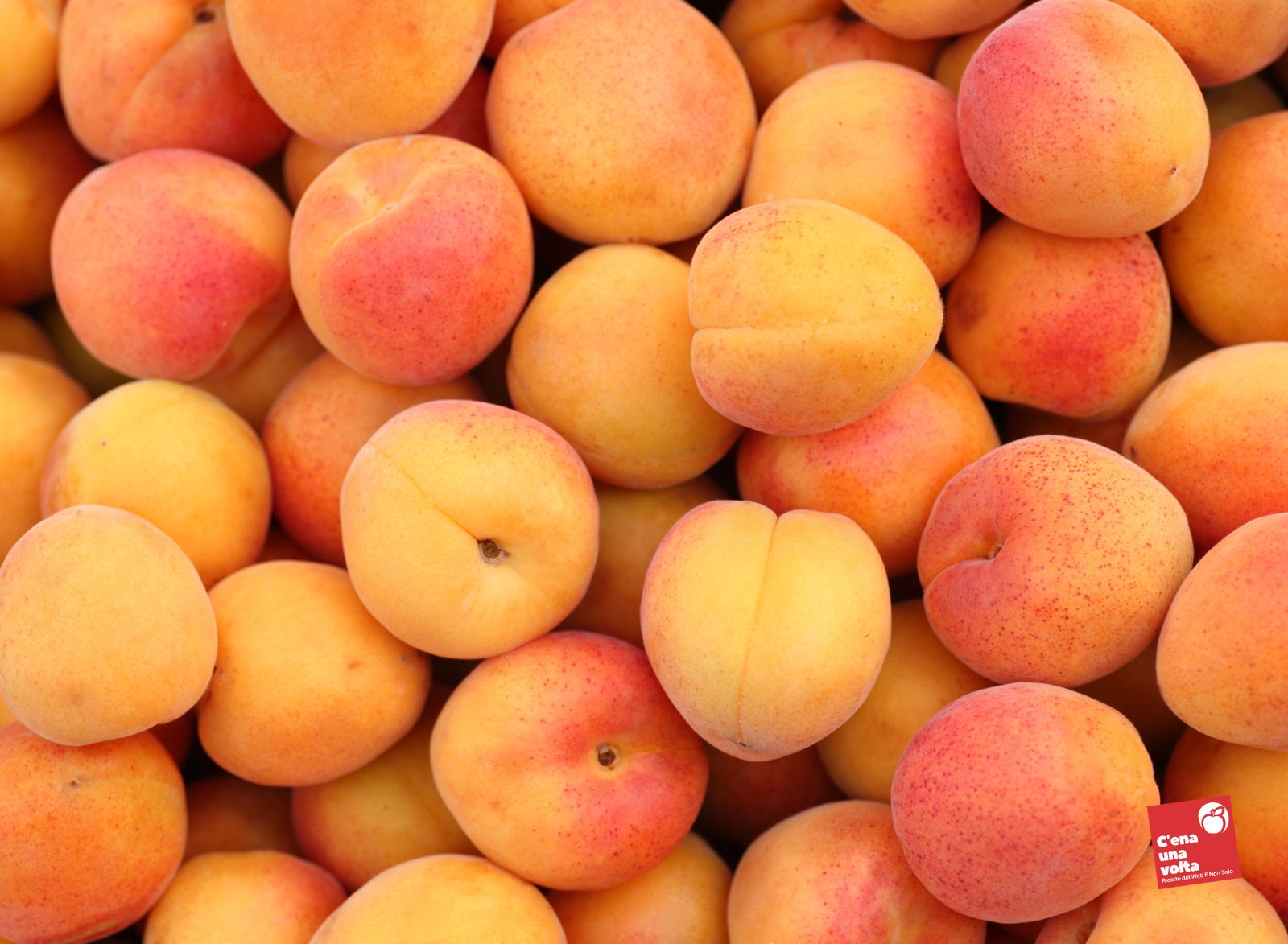 albicocche frutta e verdura di maggio, ricette light e fit, abbinamenti e consigli c'ena una volta