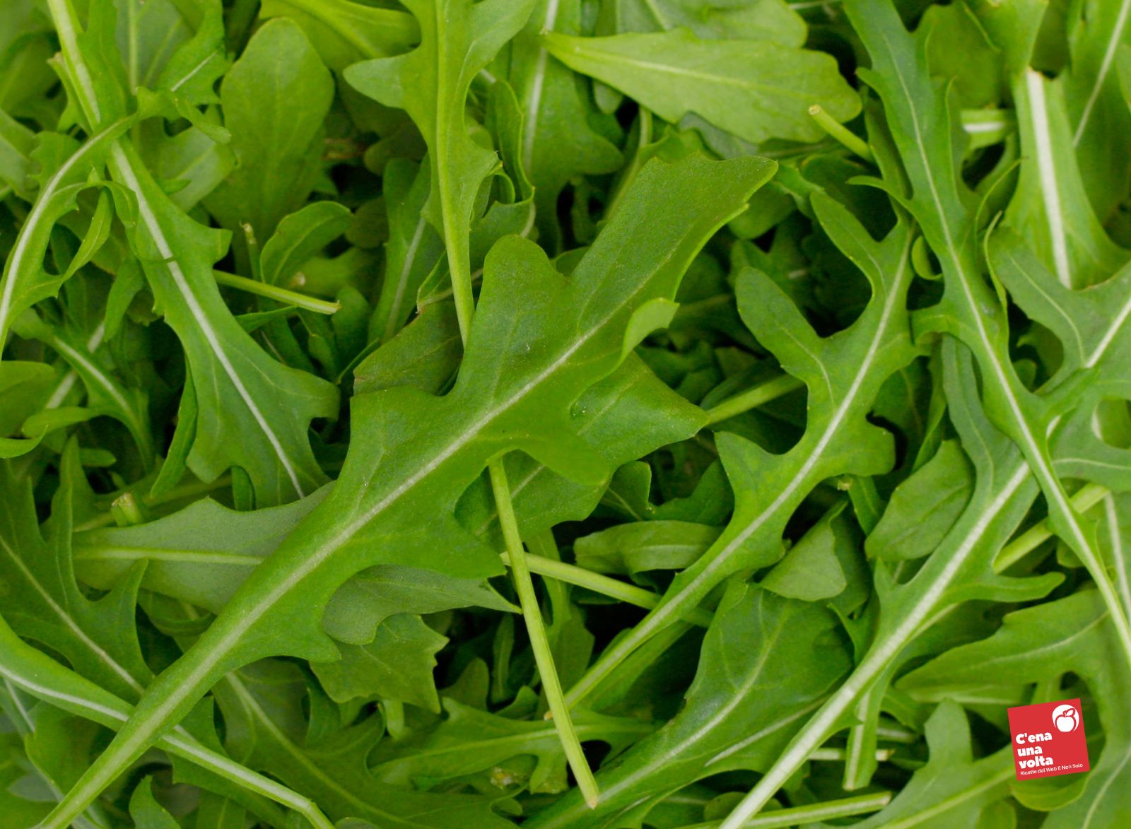 rucola frutta e verdura di maggio, ricette light e fit, abbinamenti e consigli c'ena una volta