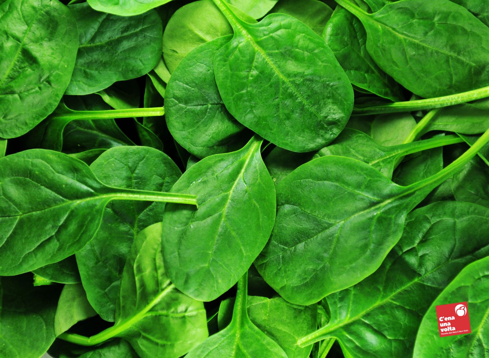 spinaci frutta e verdura di maggio, ricette light e fit, abbinamenti e consigli c'ena una volta